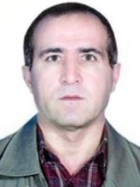 دکتر علی محمدی