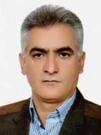 دکتر حمیدرضا رفیعی