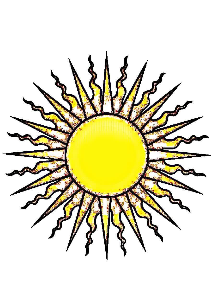 دکتر سید حسن موسوی