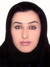 دکتر نوری کلیبر