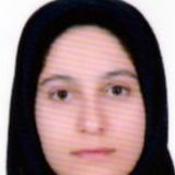 دکتر الهه پهلوان فلاحی