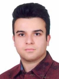 دکتر محمد لطیفی میبدی اعصاب و روان, دکترای حرفه ای پزشکی
