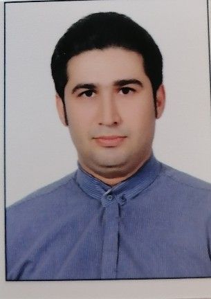 دکتر سیدحسن عمادی جمالی