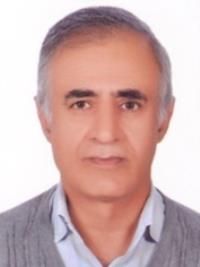 دکتر محمد ملکی