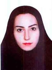 دکتر دشتی مرویلی