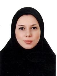 دکتر خدائیان کریم کارشناس ارشد مشاوره مامایی, کارشناسی مامایی